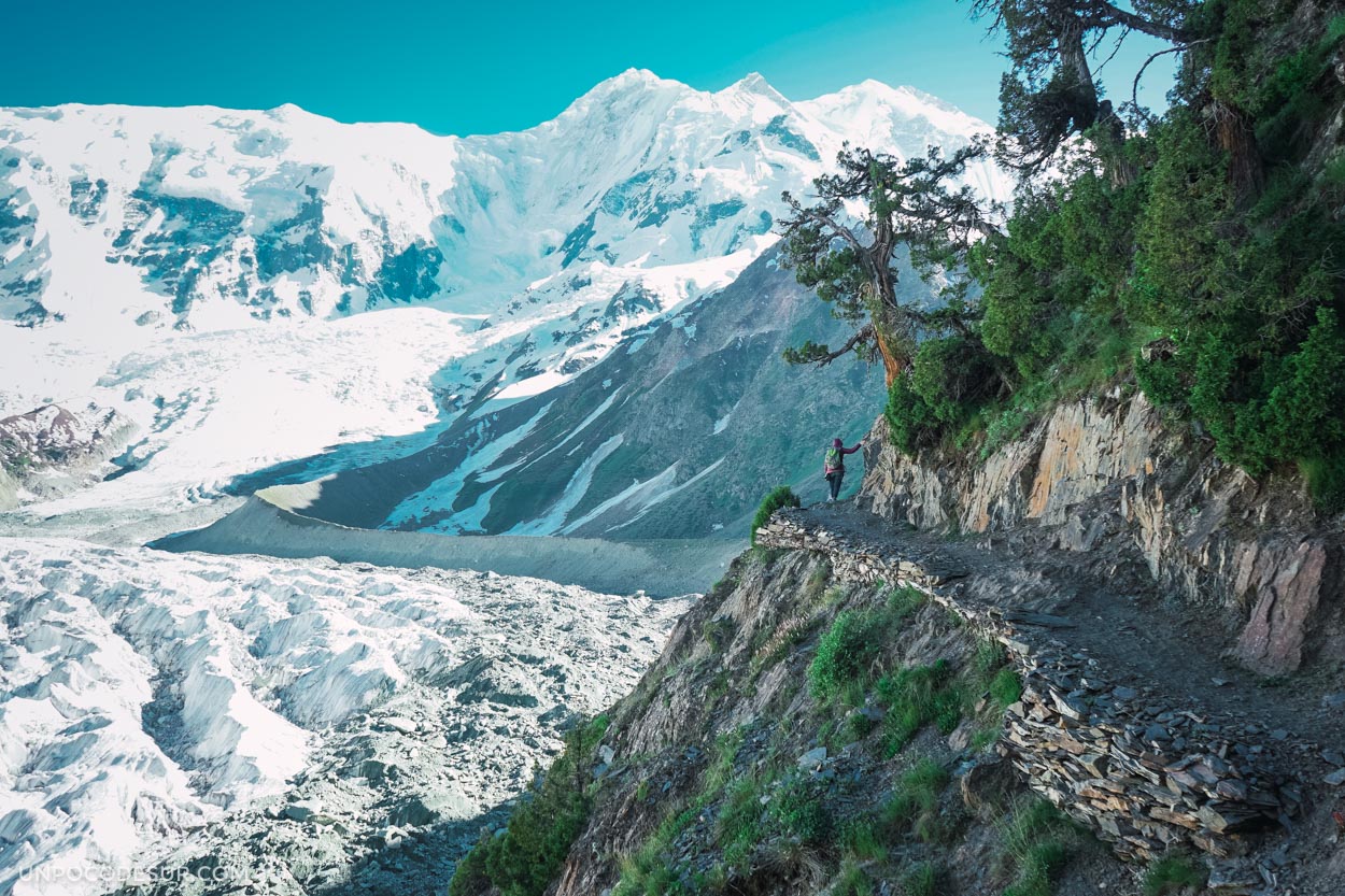 Rakaposhi